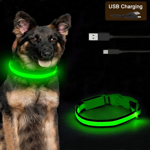 Furry™ - LED Reflective Dog Collar